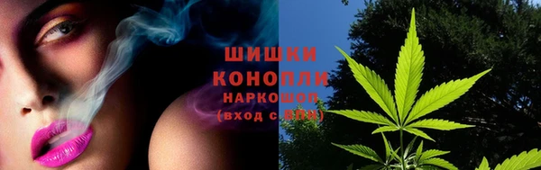 твердый Аркадак
